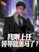 官场之权路叶清泽宋雪小说精彩章
