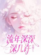 周容川阮流苏流年深深深几许小说精彩章节在线阅读