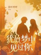 主角是犹似梦中见过你的小说 5