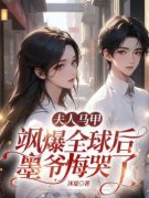 新书《时茉墨南城》小说全集阅读 夫人马甲飒爆全球后，墨爷悔哭了小说免费