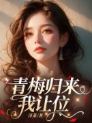 新书《温玉兰阮正安》小说全集阅