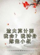 顾晚枝宋闻峥渣夫算计要我命？我