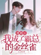 《逃婚后，我成了霸总的金丝雀》小说全文免费试读 《逃婚后，我成了霸总的