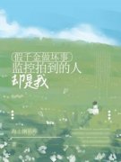 安理安桃主角假千金做坏事，监控