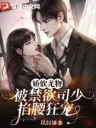 《娇软尤物，被禁欲司少掐腰狂宠》免费阅读 沈南意司厌小说在线阅读