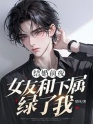 精品热文《结婚前夜，女友和下属