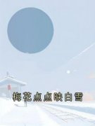《梅花点点映白雪》沈无漾周若雪
