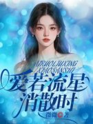 《顾南城许安娜》爱若流星消散时