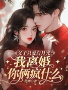 《父子只爱白月光？我离婚你俩疯什么》江晚吟商扶砚完结版在线阅读