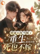 《替身六年当够了：重生死也不嫁了》小说章节在线阅读 乔念沈逸小说阅读