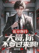 《张文叶子青》小说大结局在线试