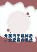 外婆的手机掉后，全家重金寻找何问明晚言大结局在线阅读