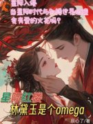 《星际红楼，林黛玉是个omega》小说全文在线阅读 林颦儿林黛玉小说全文