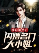 《被迫退婚后，闪婚名门大小姐》小说完结版在线阅读 江天麒林小雪小说全文
