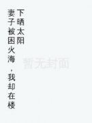 《陈意赵青青》妻子被困火海，我却在楼下晒太阳精彩章节在线阅读