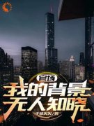 主角是官场：我的背景无人知晓的