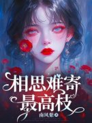 沈星月顾归之章节 沈星月顾归之小说目录阅读
