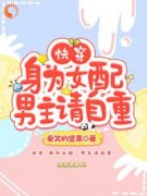 快穿：身为女配，男主请自重小说