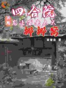 《四合院：开局先让聋老太太挪挪窝》徐晨光何雨柱章节列表在线试读 第1章