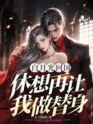 《安然楚凌枫》小说精彩试读 《安