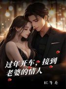 《卢淼徐幕尘》过年开车，接到老婆的情人全文在线阅读