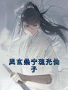 琉光凤玄桑宁小说 《凤玄桑宁琉光