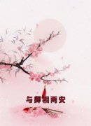 与卿相两安夜澜雨沈卿尘小说结局精彩章节全文