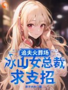 《追夫火葬场，冰山女总裁求支招》小说完结版在线试读 楚航苏若澜小说阅读