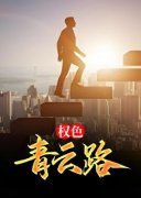 好书推荐《权色青云路》林岳叶静