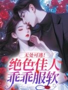 《林序陈平》完结版精彩阅读 第