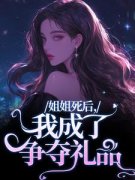 姐姐死后，我成了争夺礼品小说全