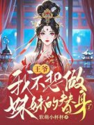 《玉容齐善》王爷，我不想做妹妹的替身了全文精彩试读