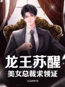《龙王苏醒，美女总裁求领证》小说在线阅读 《龙王苏醒，美女总裁求领证》