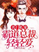 名门私宠：霸道总裁轻轻爱舒清顾
