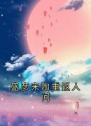 精品热文《盛彦宋陶》盛彦宋陶重