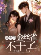 顾少的金丝雀不干了完整版全文阅读 宋韵顾言泽小说 大结局