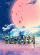 《盛彦宋陶》小说章节列表精彩阅