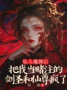 《翊舟云华星月》小说章节免费试读 坠入魔渊后，把我当赌注的剑圣和仙尊疯