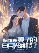 《沈慕寒白沙沙》结婚当天，妻子的白月光跳楼了章节列表在线试读  第2章