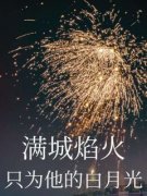 《江彦停知瑶》小说全文精彩试读