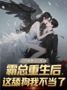 林娇沈言宽全文免费阅读 霸总重生后，这舔狗我不当了大结局无弹窗