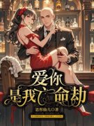 《顾宴沈清婉》小说章节免费试读 爱你是我亡命劫小说阅读