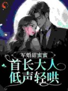 《顾思卿沈清宴顾婉柔》小说大结