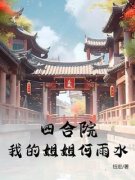 四合院：我的姐姐何雨水！(张海民何雨水)全文完结免费试读精彩章节