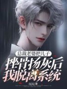总裁老婆把儿子挫骨扬灰后我脱离系统书名叫什么_柳念念李繁星