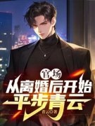 官场：从离婚后开始平步青云完整版小说在线阅读地址 主角秦羽白薇薇