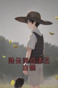 陆云洲白婉小说 《陆云洲白清芷白婉》小说全文在线阅读