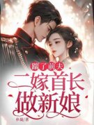 《踹了前夫：二嫁首长做新娘》小说章节列表免费试读 苏染秦牧小说阅读