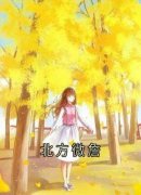 《时微商砚》小说主角北方微詹全