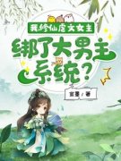 《我，修仙虐文女主，绑了大男主系统？》夏羽悠季昭南完结版在线阅读
